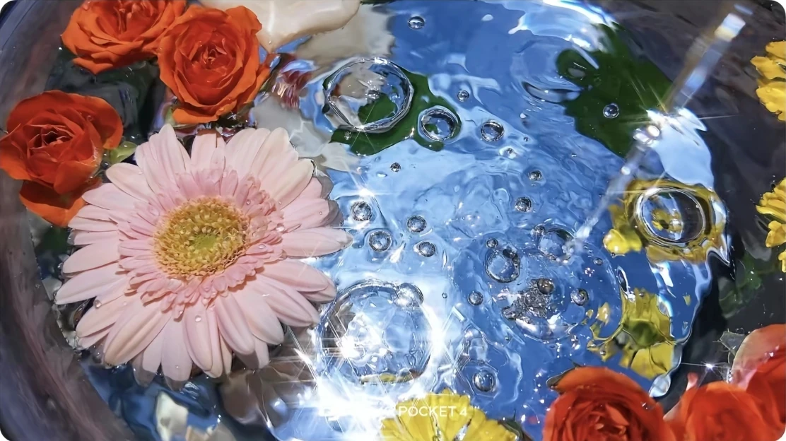 冰水中漂浮的粉色花朵与橙色玫瑰，夏日清透感预设卡